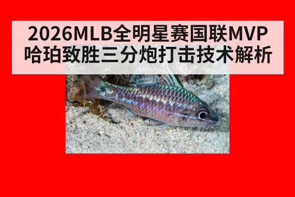2026MLB全明星赛国联MVP哈珀致胜三分炮打击技术解析