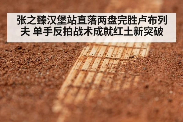 张之臻汉堡站直落两盘完胜卢布列夫 单手反拍战术成就红土新突破